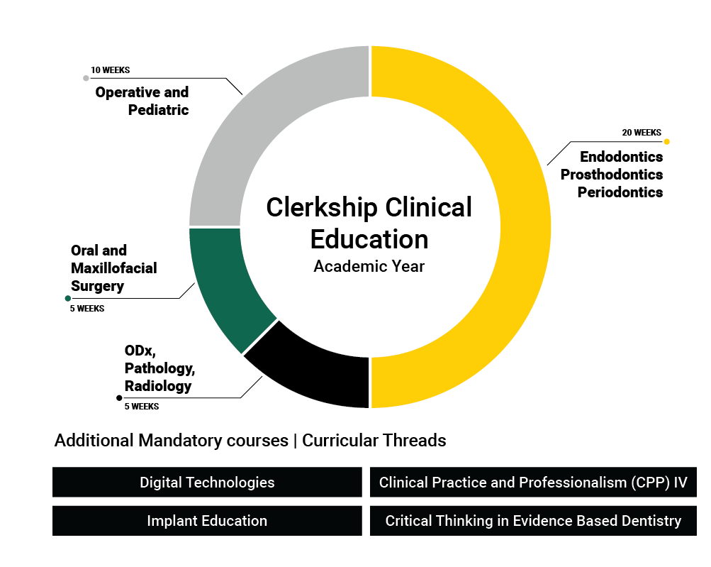 D3 Curriculum