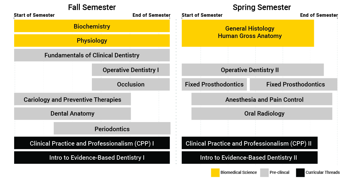 D1 Curriculum 