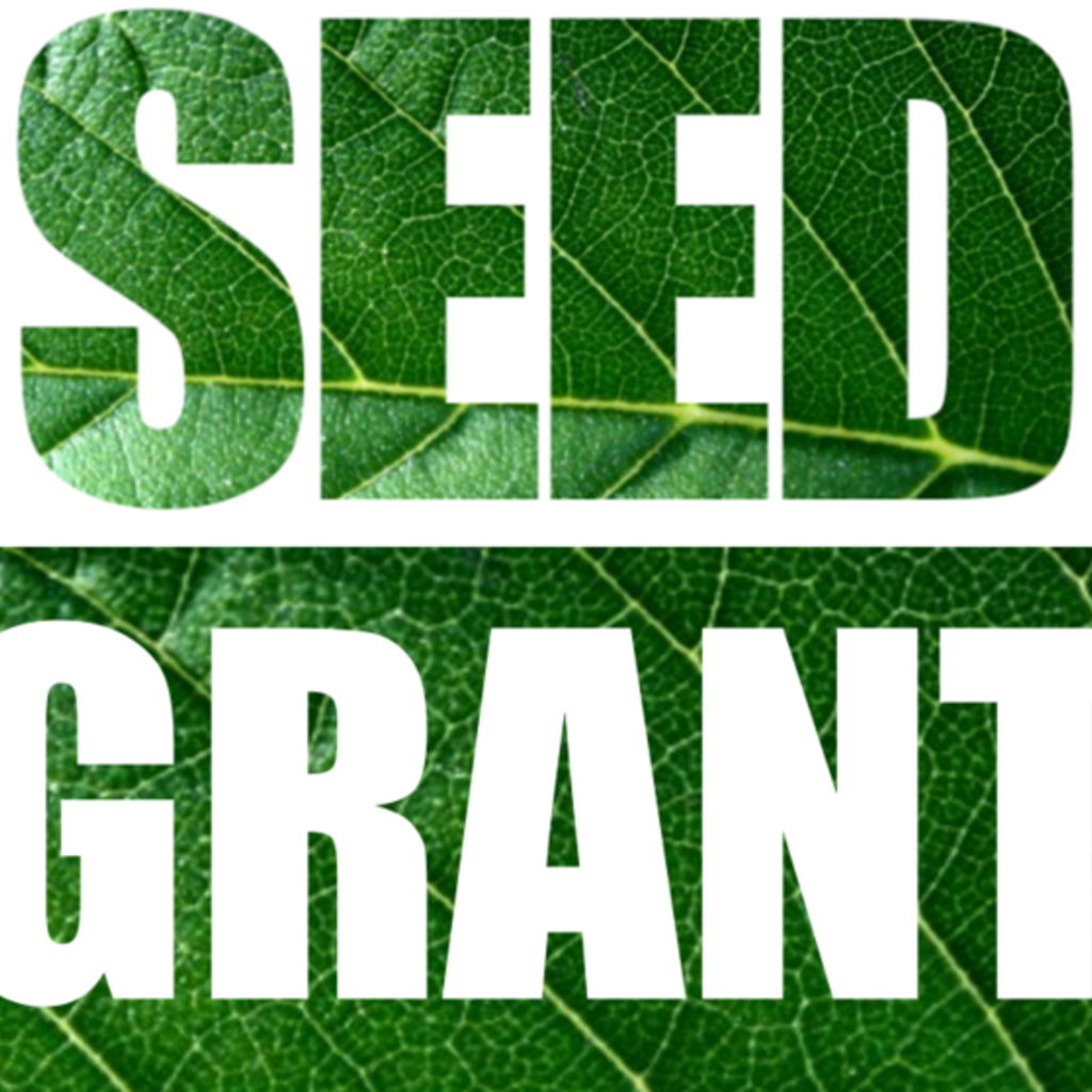 Seed Grant
