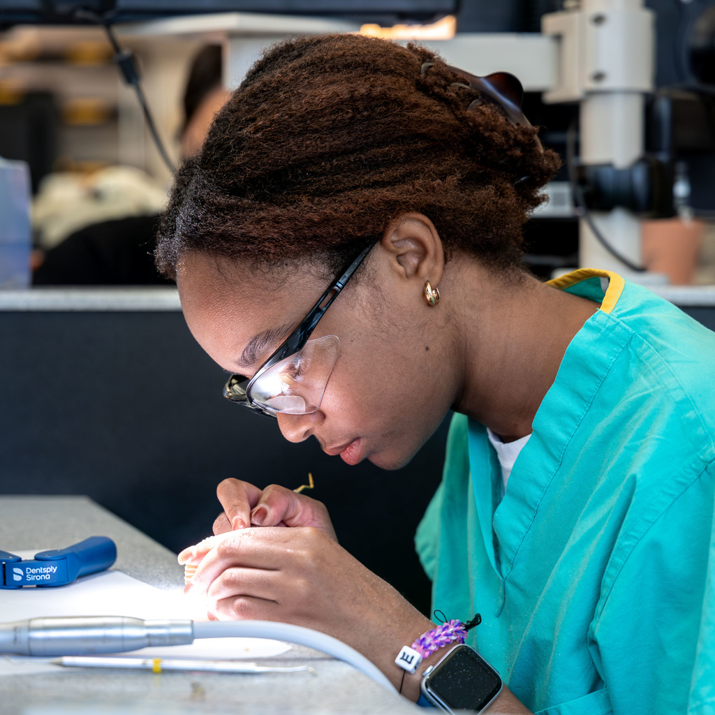 A student works carefully on a tooth during Shpep 2023