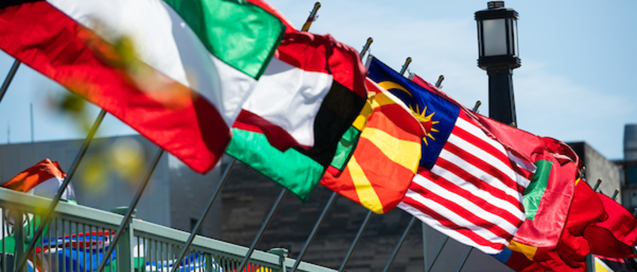 International flags fly on the IMU footbridge