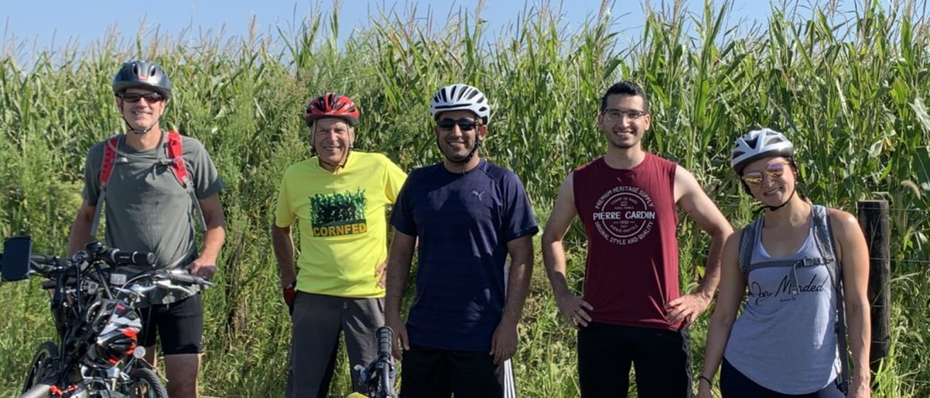 A group of five bike riders riding by a corn field.